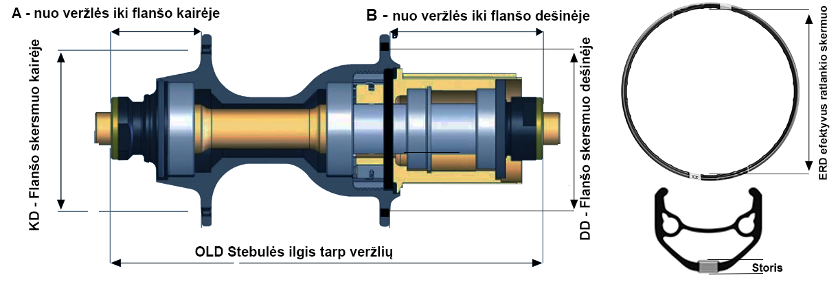 Spoke calculator hub 