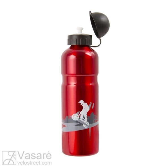 Alloy water bottle 2