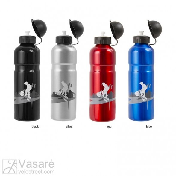 Alloy water bottle 3