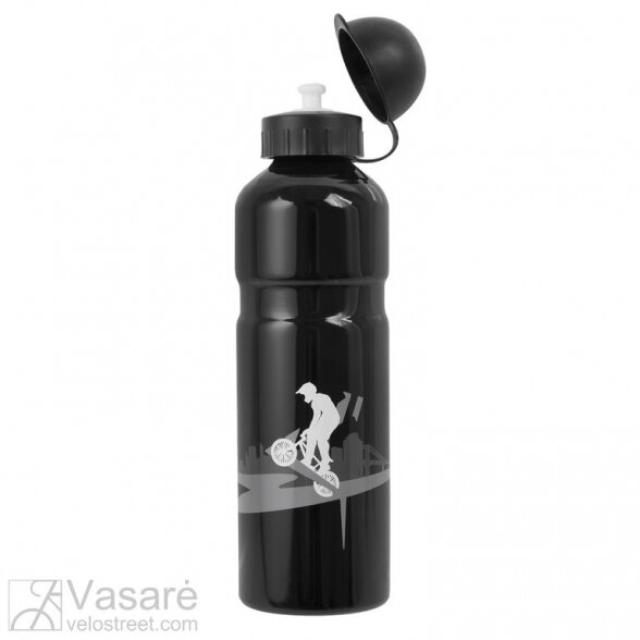 Alloy water bottle