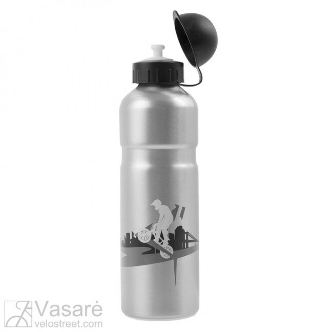 Alloy water bottle 1