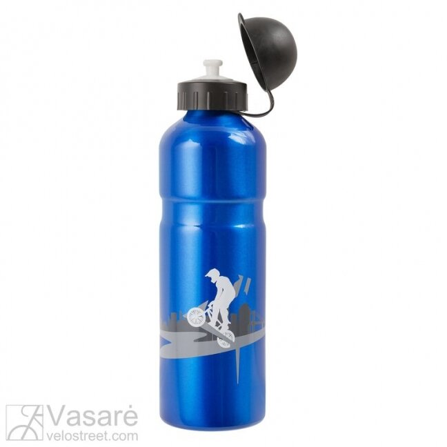 Alloy water bottle 4