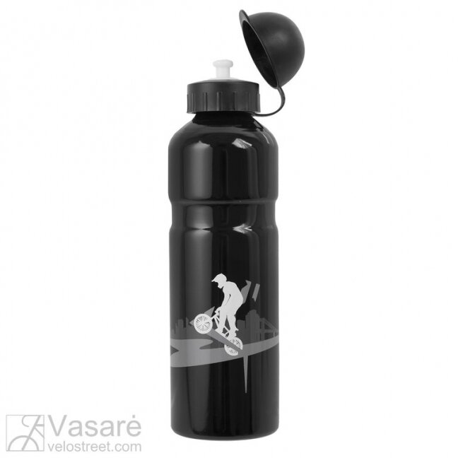 Alloy water bottle