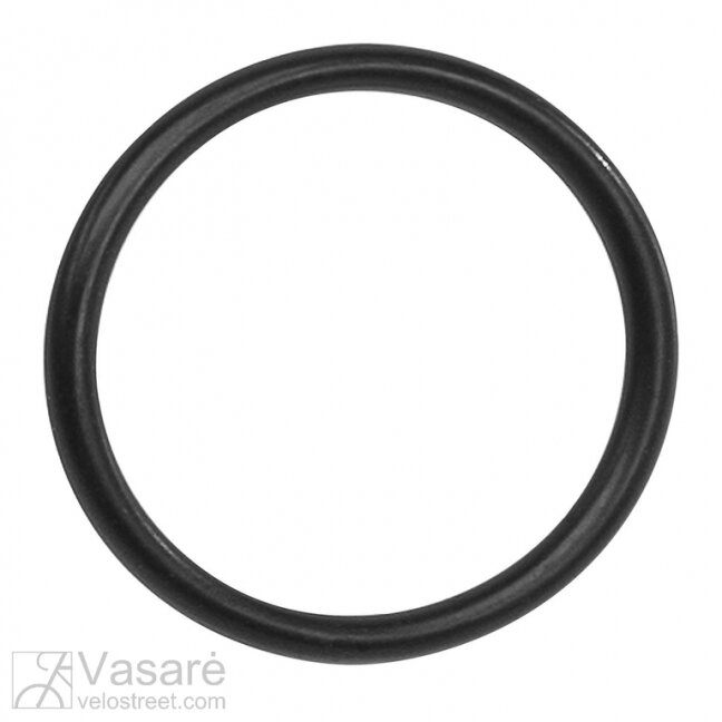 O-Ring, for mouning the chainring, Active/Plus/Performace Line (BDU3XX)