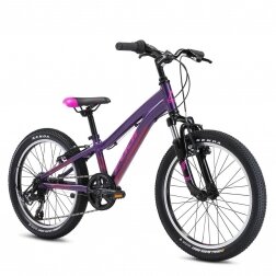 Dviratis Fuji DYNAMITE 20  Purple