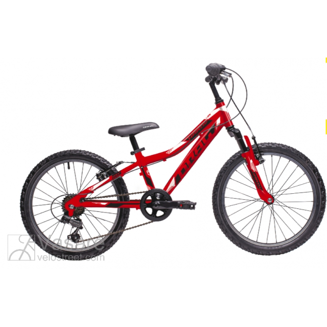 Bicycle Drag Hardy JR 20 Black Red