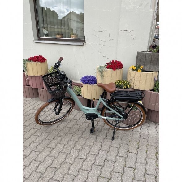 E-Bike Riese & Müller Swing Vario 26 2