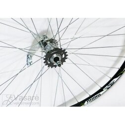 Rear wheel 28, 36 spokes, Velosteel hub with coaster brake, black